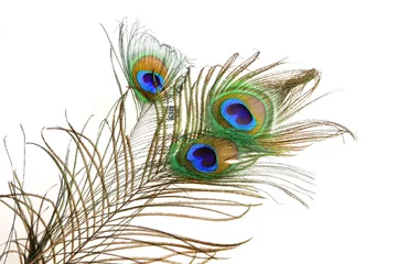 Fotobehang Peacock feathers on a white background. Isolated © Александр Евстафьев