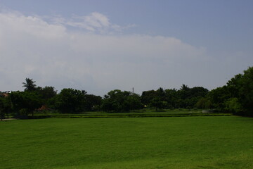 clouds over the park - Wallpaper/Background