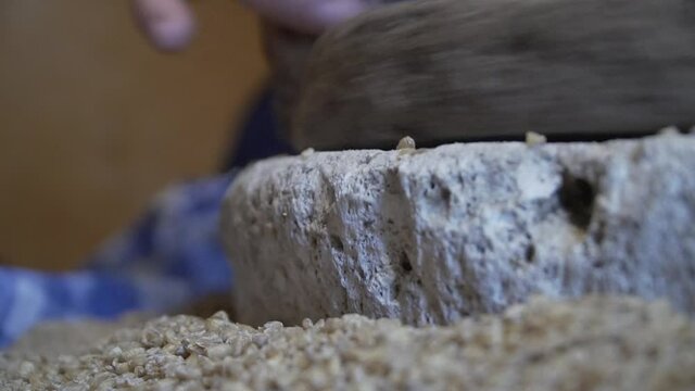 The ancient quern stone hand mill with grain. The woman grinds the grain into flour with the help of a millstone. Men's hands rotates a millstone. Old grinding stones turned by human hands
