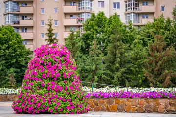 Landscape design outside the house. Beautiful bushes, decorative trees and bushes.