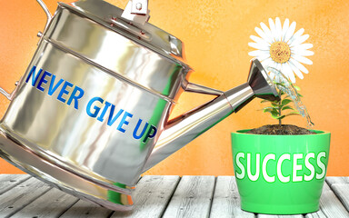 Never give up helps achieve success - pictured as word Never give up on a watering can to show that it makes success to grow and it is essential for profit in life, 3d illustration - Powered by Adobe