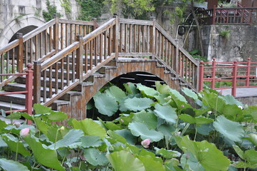 wood bridge and pond 