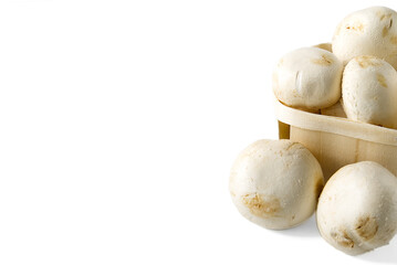 White Mushrooms champignons in wooden basket on a light background. Close up with copy space. Packed champignons to basket.
