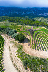 Naklejka premium Landscape of vineyards and forest in the Sierra de Cantabria from a drone. Leza. Alava Province. Autonomous Community of the Basque Country. Spain. Europe