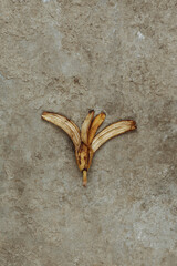 Banana peel on a concrete background. Art.