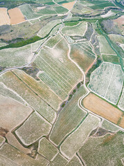 Vineyard landscape in summer from a drone. San Vicente de la Sonsierra. Autonomous Community of La Rioja. Spain. Europe