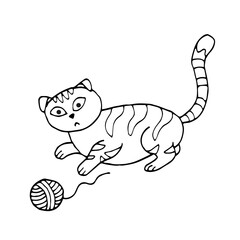 a cat with a ball