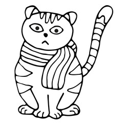 Fototapeta na wymiar cat in a warm scarf