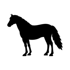 Vector illustration of black horse silhouette isolated on white background