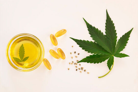 Hemp extraction oil in bowl and capsules near cannabis leaves and seeds on white background