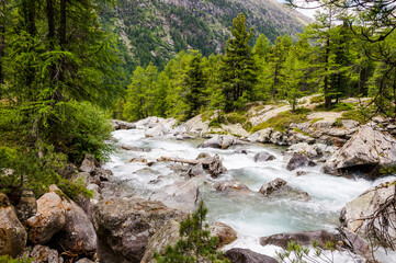 Val Bernina, Berninatal, Ova da Bernina, Bergbach, Wasserfall, Wasserkraft, Wald, Wanderweg, Oberengadin, Passstrasse, Berninapass, Pontresina, Alpen, Sommer, Graubünden, Schweiz