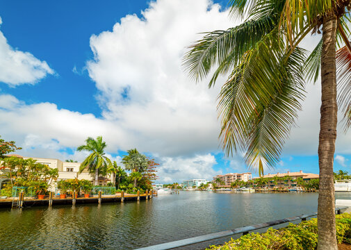 Palm Trees And Luxury Houses In Las Olas Isles In Fort Lauderdale