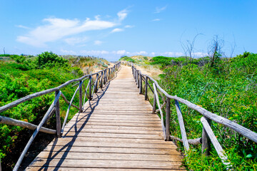 Fototapeta na wymiar Wooden boardwalk surrounded by green plants in Sardinia