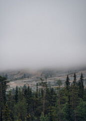 fog in the mountains of lapland