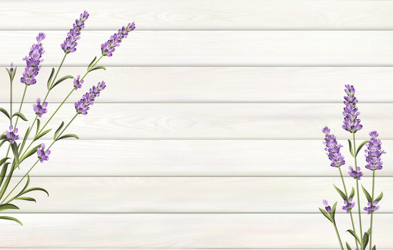 Provence template for your design. Lavender flower on wooden background with empty space