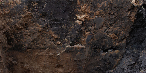 Soil section with wet yellow sand traces