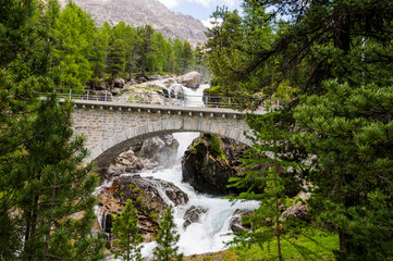 Val Bernina, Berninatal, Ova da Bernina, Bergbach, Wasserfall, Wasserkraft, Wald, Wanderweg, Oberengadin, Passstrasse, Berninapass, Pontresina, Alpen, Sommer, Graubünden, Schweiz