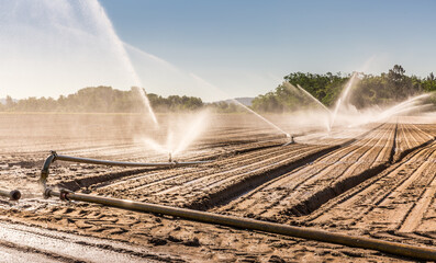 Irrigation system on a large farm field. Water sprinkler installation.