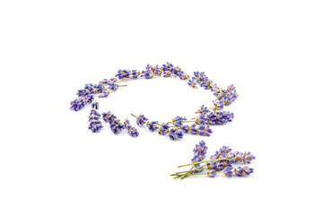 Lavender flowers isolated on white background. Close up. Space for text