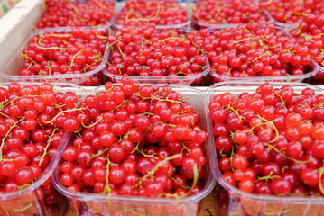 Red currant berries sold at local market. France