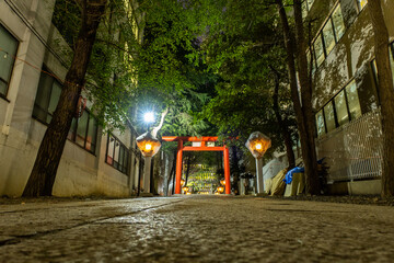 Walkway with red Torii Gate leading to Hanazono-jinja Shinto Shrine in Shinjuku, Tokyo, Japan, at night, illuminated with lanterns.