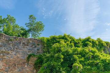 Obraz premium 世界遺産の塔の町サンジミニャーノ