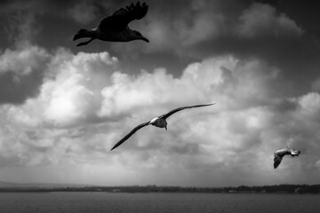 Lisboa Lisbon city, capital of Portugal