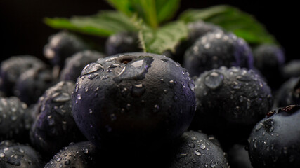 Close up of wild fresh blueberries with leaf of mint on back background. Fresh organic food for vegan. 