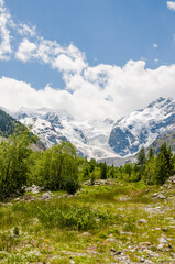 Fototapeta premium Morteratsch, Morteratschgletscher, Gletscher, Gletscherpfad, Gletscherpfad, Piz Bernina, Bellavista, Bernina, Berninatal, Berninapass, Engadin, Alpen, Graubünden, Sommer, Schweiz
