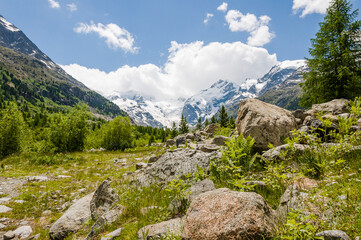 Morteratsch, Morteratschgletscher, Gletscher, Gletscherpfad, Gletscherweg,  Piz Bernina, Bellavista,  Bernina, Berninatal, Berninapass, Engadin, Alpen, Graubünden, Sommer, Schweiz