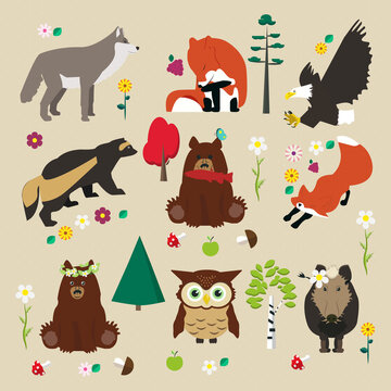 Set of woodland. Some trees: birch, pine, fir flowers, mushroom and animal: wolf, fox, eagle, wolverine, bear, owl, boar. Vector illustration.