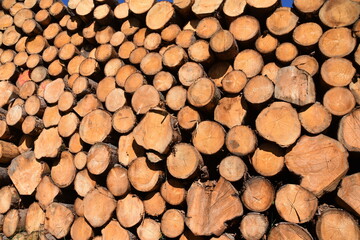 Big pile of wood logs of coniferous species, saw softwood, near the tourist road passing forest stored on each other. Can be used as background