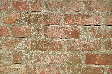 structure - old weathered brick wall mossy