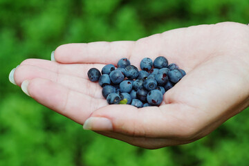 handful of berries