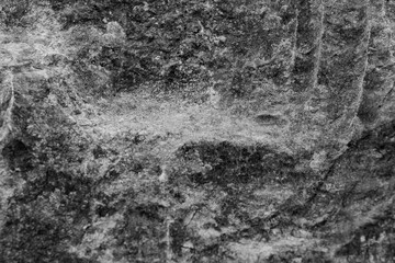 Fototapeta na wymiar texture of a rock with lines