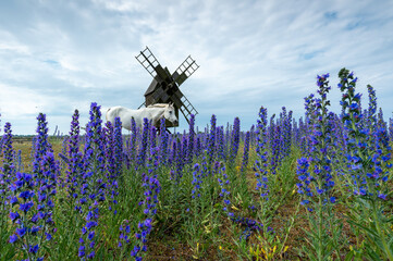 Flower field with windmill and horse - 364475640