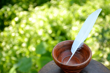 white wing in the brown bowl.