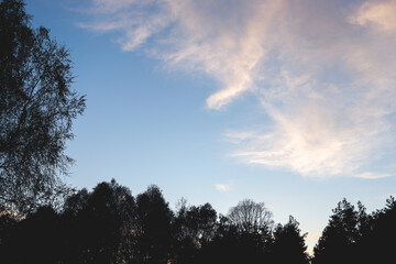 Fototapeta na wymiar beautiful white clouds with trees on blue sky