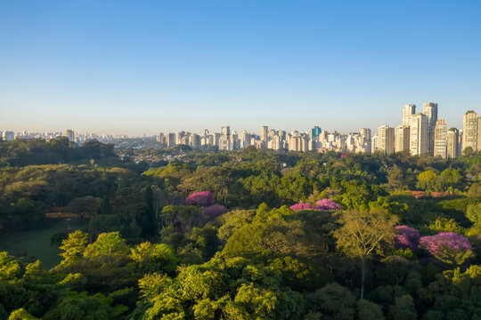 Fotos a&eacute;reas de parques em S&atilde;o Paulo, contraste da Natureza e o asfalto