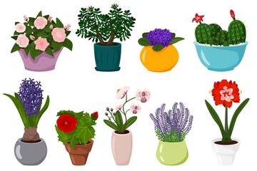 Potted flowers set. Isolated blooming potted plant with leaves in pot icons. Cactus, violet, hyacinth, orchid, jade flower in flowerpot decoration collection. Vector green nature illustration