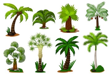 Palm trees set. Isolated coconut palm tree plant with leaves icon collection. Vector decorative green tropical flora and nature illustration © studioworkstock