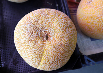 Close up of melons. Texture of melon peel.