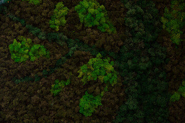 dark green wall background, outer space.