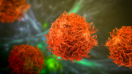 Stomach cancer cells