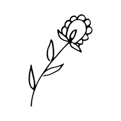 Cute single hand drawn herbal elements. Doodle vector illustration for wedding design, logo and greeting card. Traditional hand drawn spring flowers in ink style.