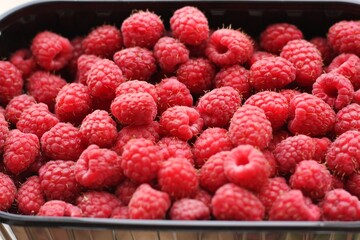 Delicious ripe raspberries on the market macro 