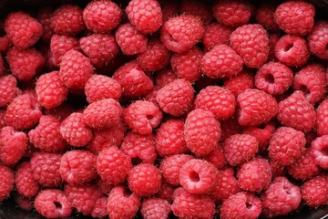 Delicious ripe raspberries on the market macro 