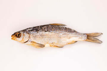 One dried salted smocked fish isolated on white