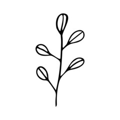 Cute single hand drawn herbal elements. Doodle vector illustration for wedding design, logo and greeting card. Traditional hand drawn spring flowers in ink style.