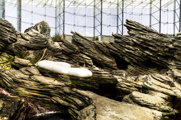 Obraz premium Lisboa Lisbon aquarium, capital of Portugal 